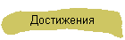 Достижения