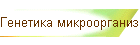 Генетика микроорганизмов