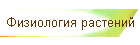 Физиология растений